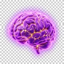 Real impact icon